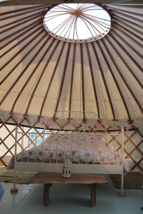 Mill Haven Place Glamping Yurt 3 Haverfordwest Exterior photo